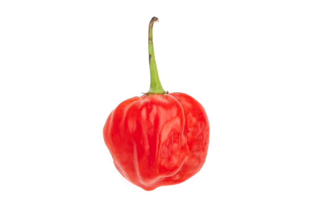 SEBI_peppers